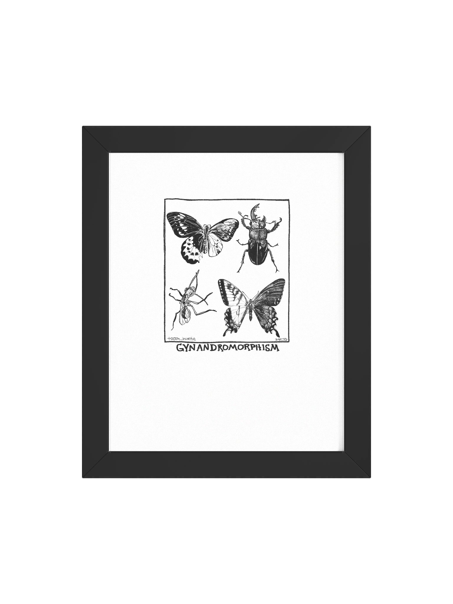 FRAMED GYNANDROMORPHISM PRINT product image (10)