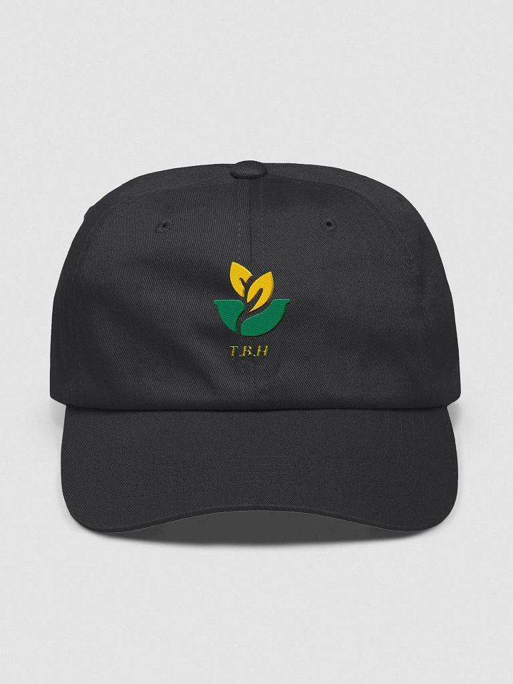 TBH dad cap product image (1)