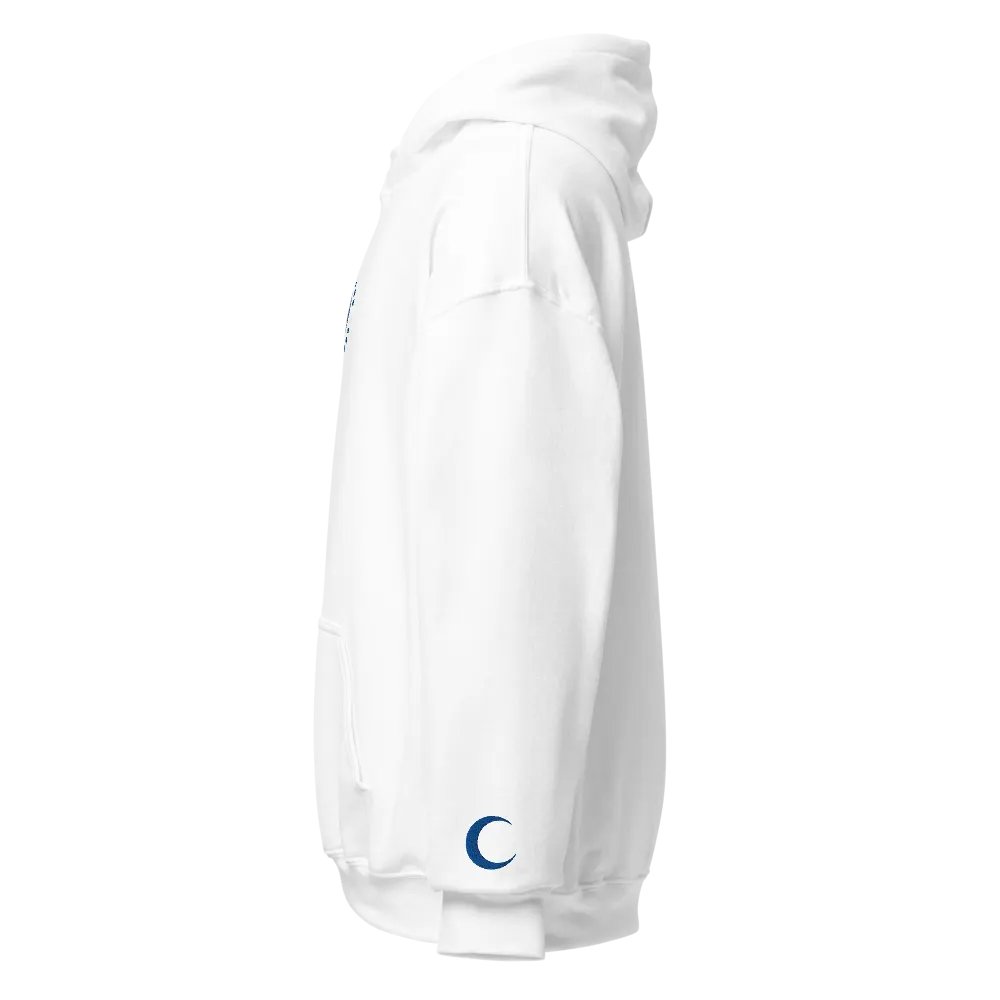 Embroidered "Malfunction" Hoodie product image (5)