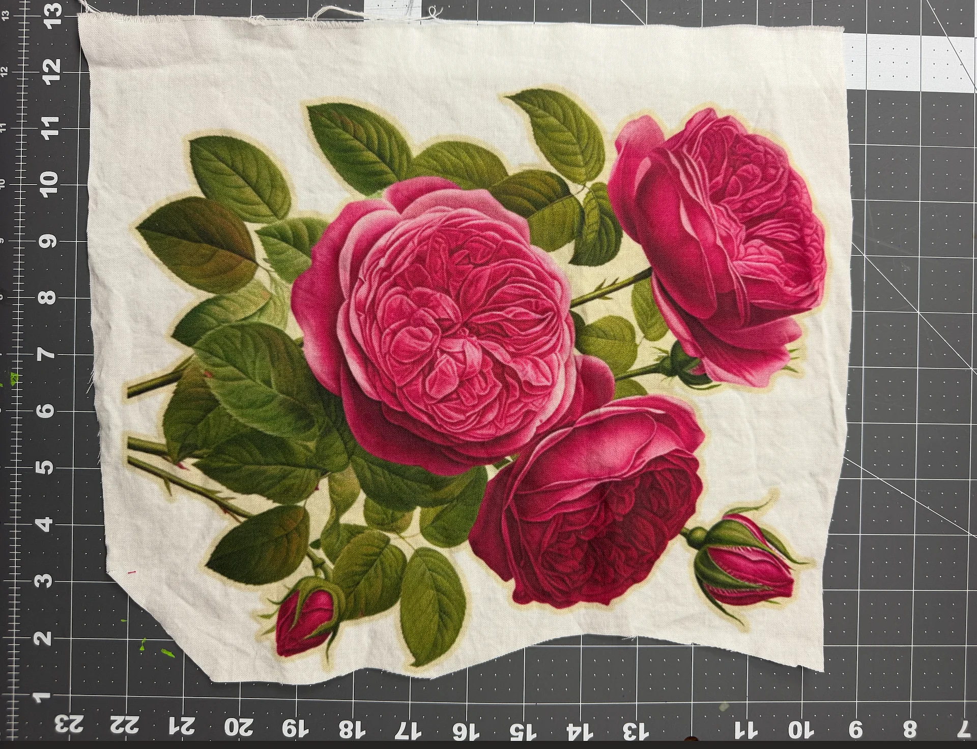 JUMBO ROSES product image (1)