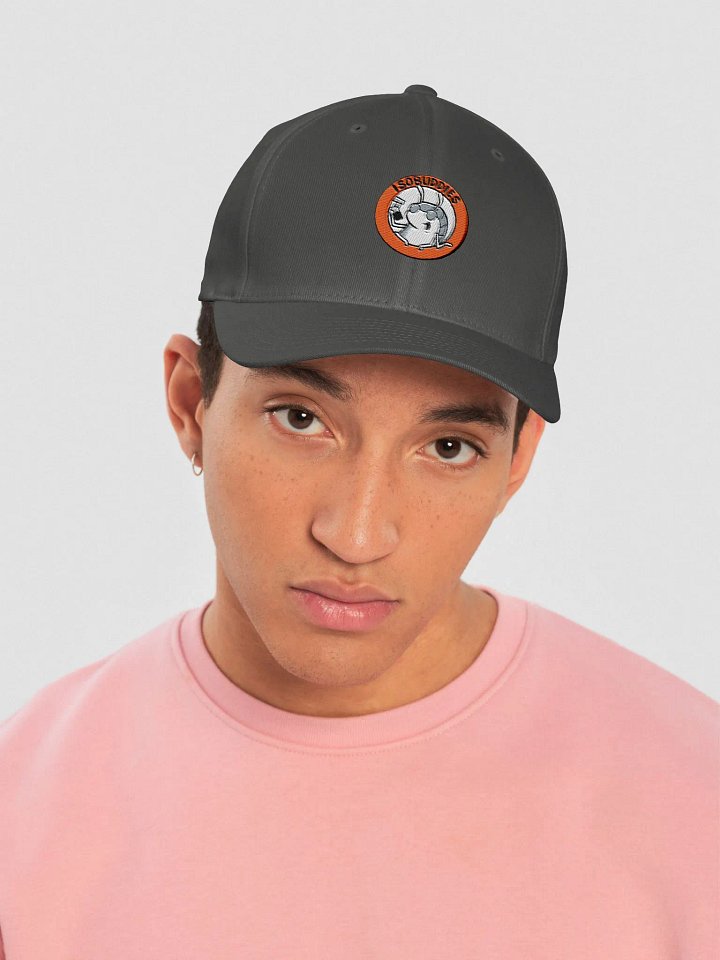 Flexfit Hat product image (1)