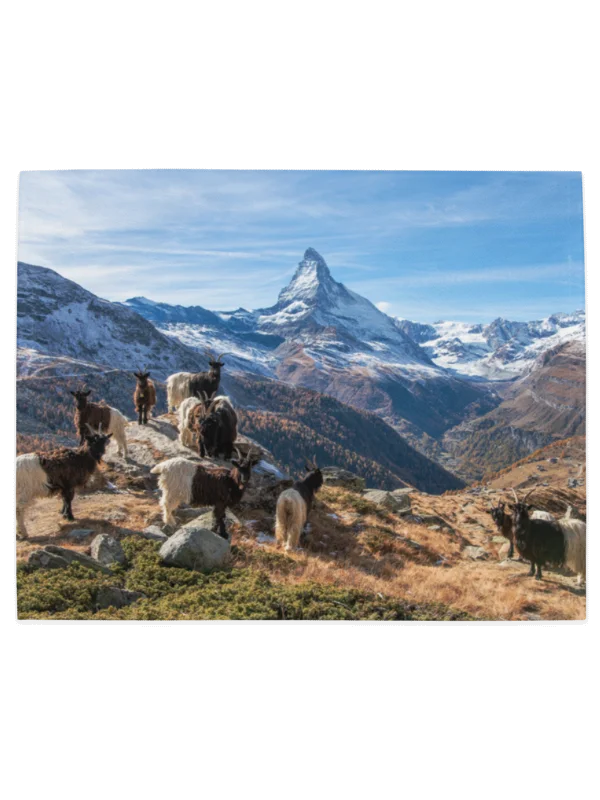 Valais Blacknose sheep and Valais Blackneck goats Table mats product image (2)
