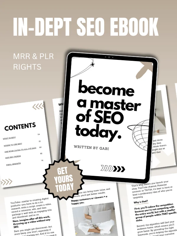 MRR/PLR In-Dept SEO eBook product image (1)