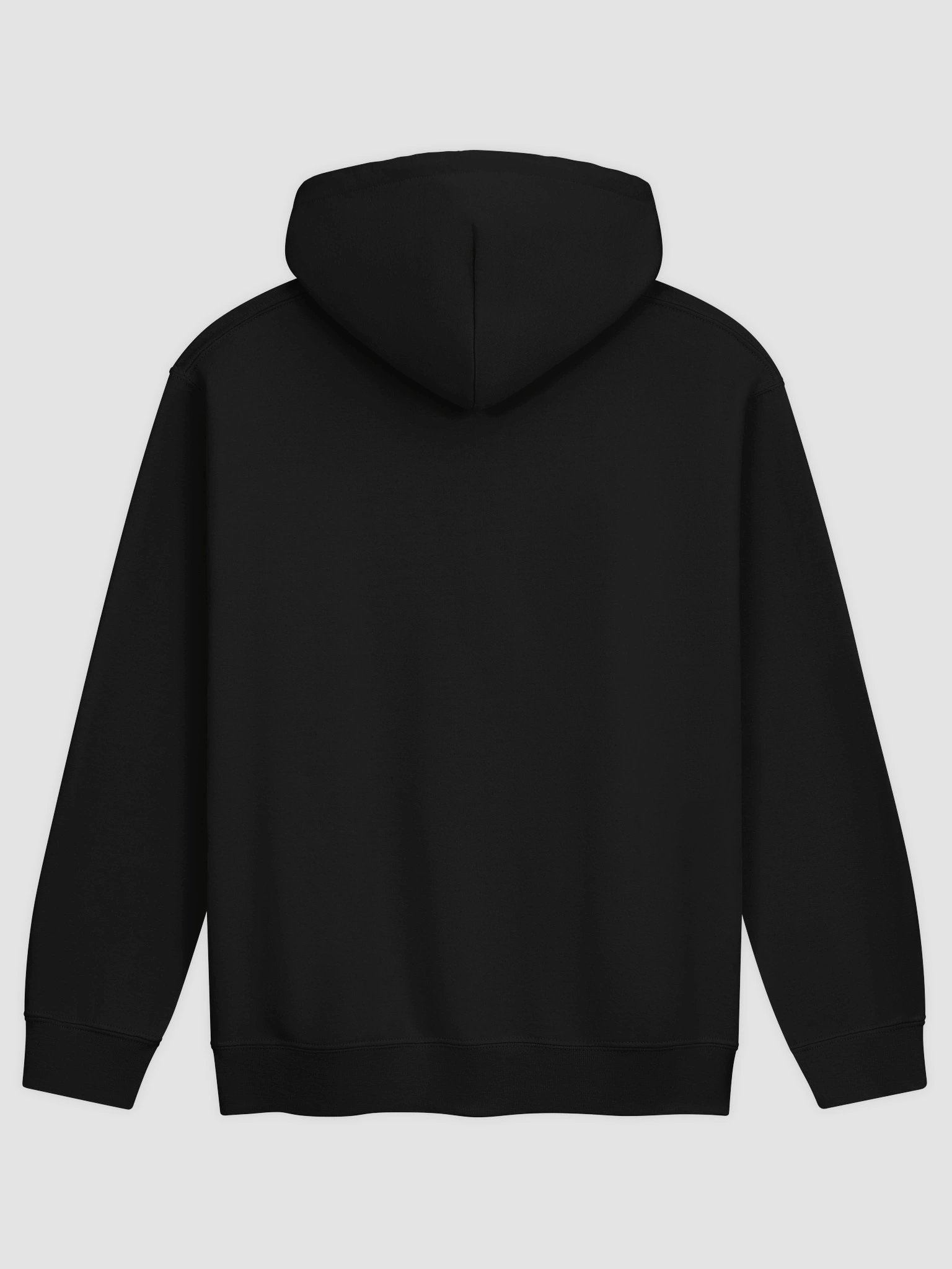 Michigan Progression Hoodie product image (10)