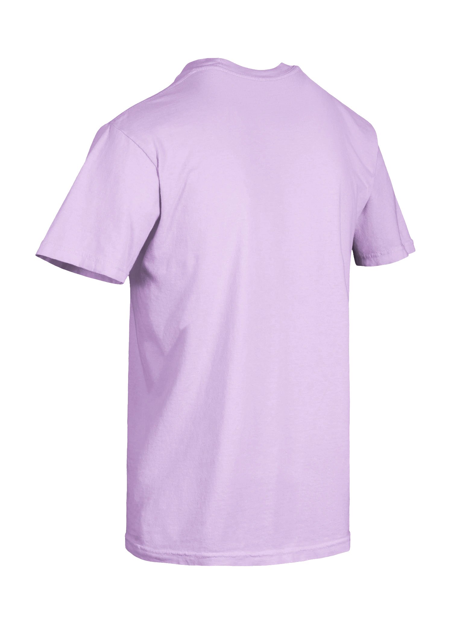 Tiny Tabby Games - Logo Shirt product image (32)