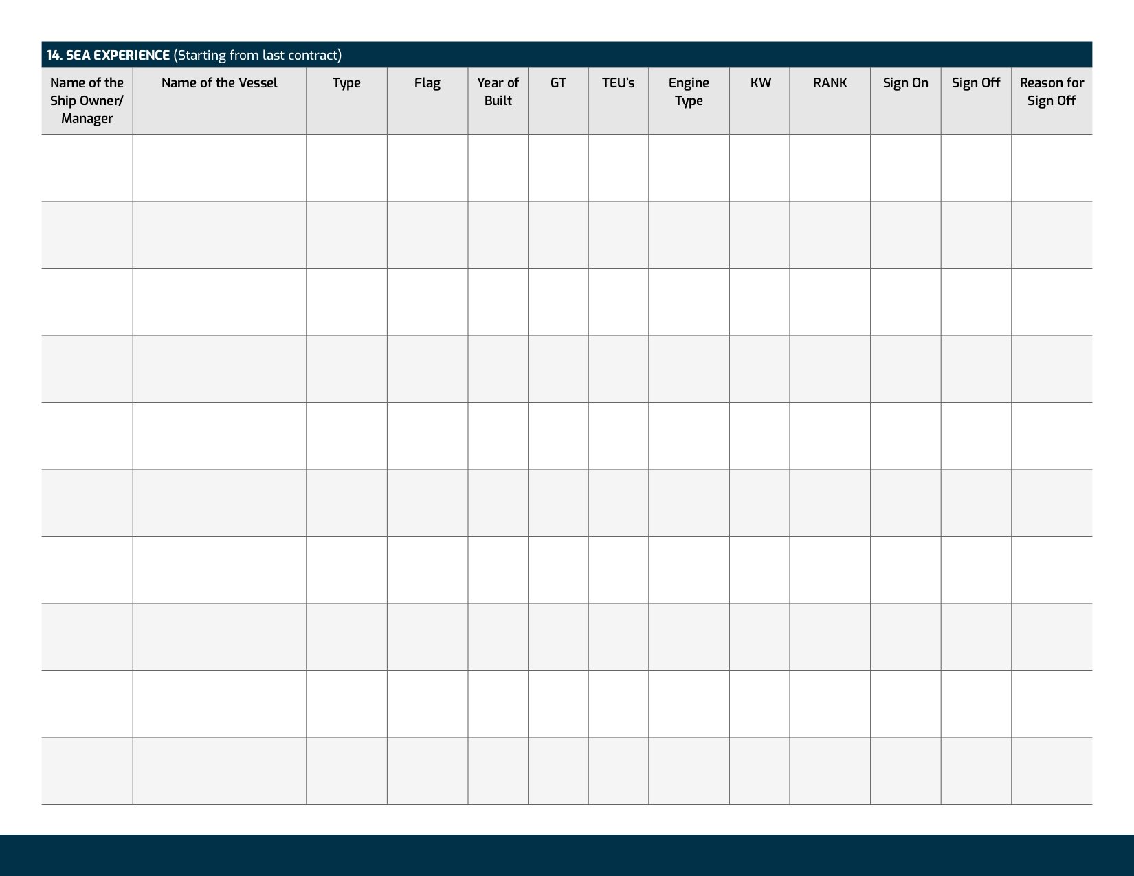 Professional Seafarer CV Template product image (5)