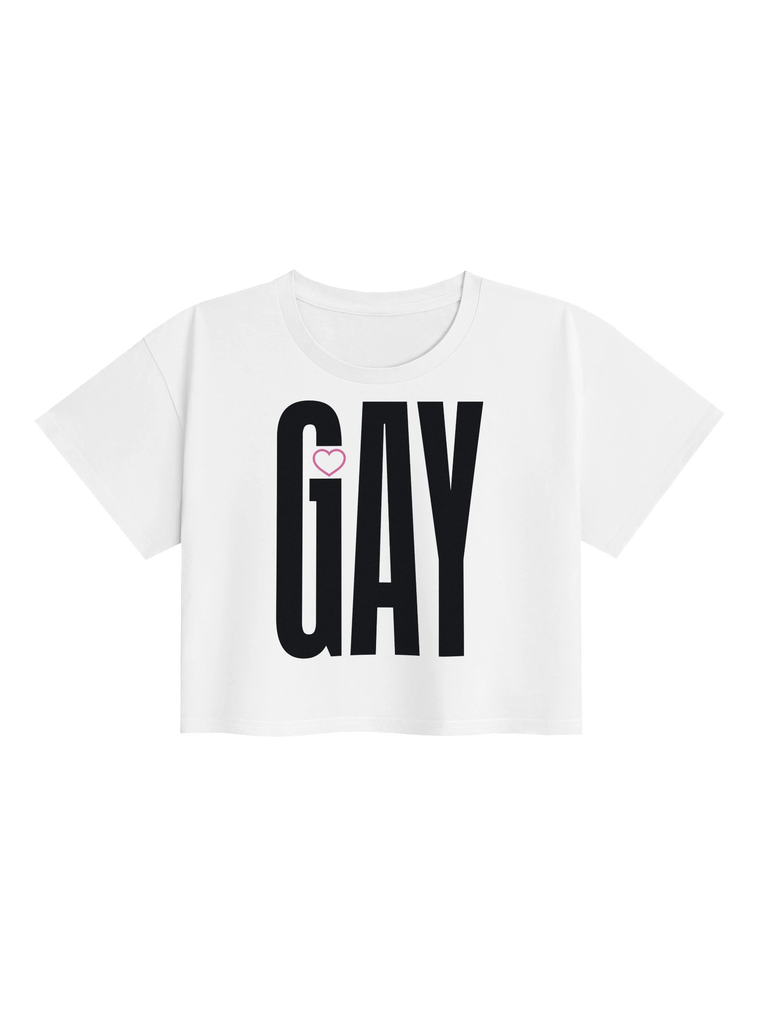 GAY | BLOCK CROP TOP product image (1)