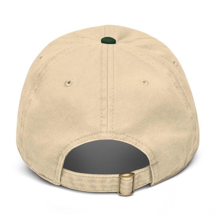 ANGELIC BOYZ ABZ EMBROIDERED CAP product image (4)