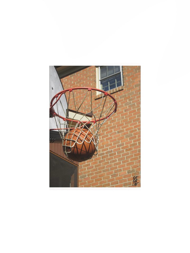 Nothing But Net product image (1)