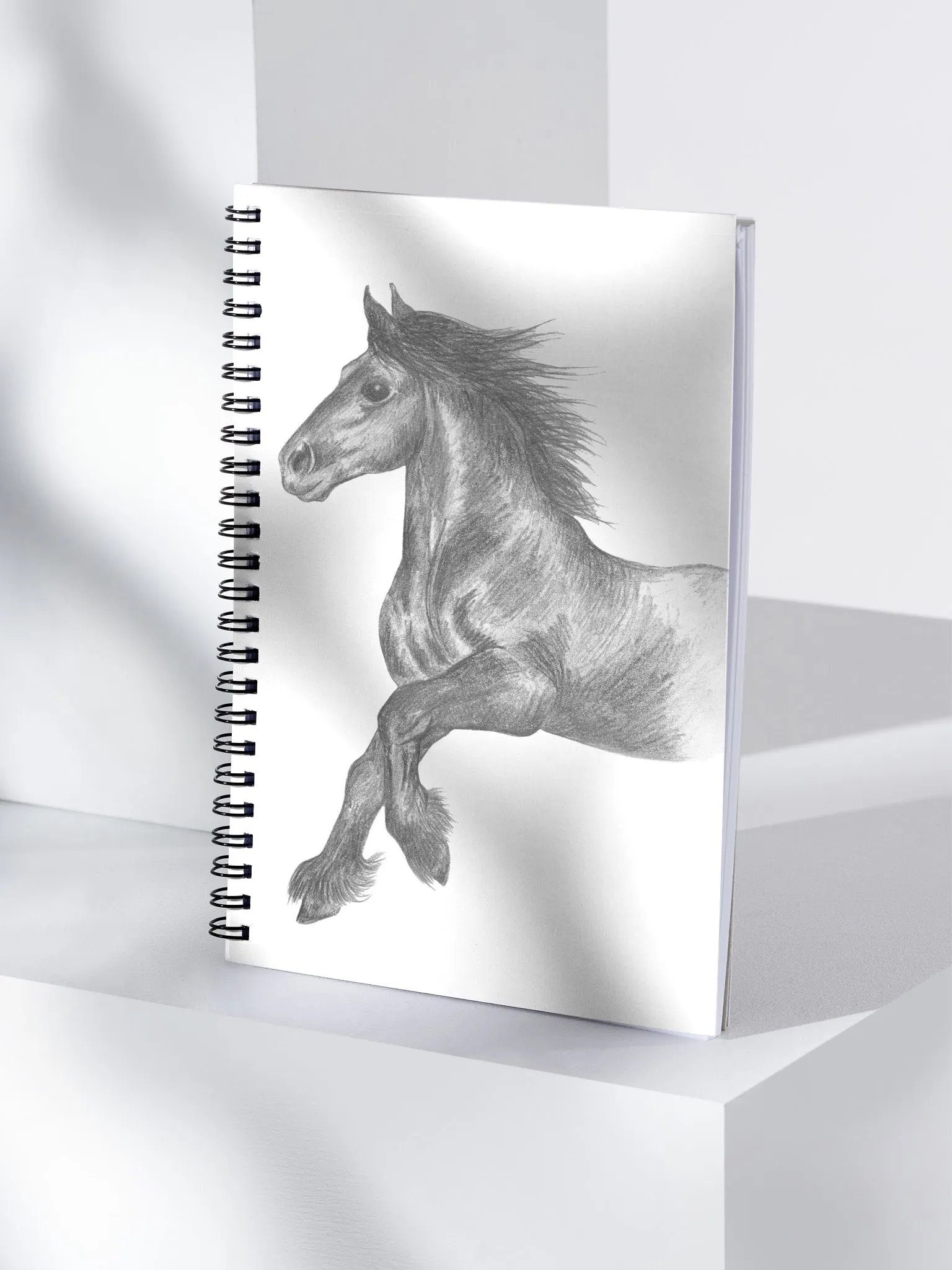 Fell pony cantering Journal product image (4)