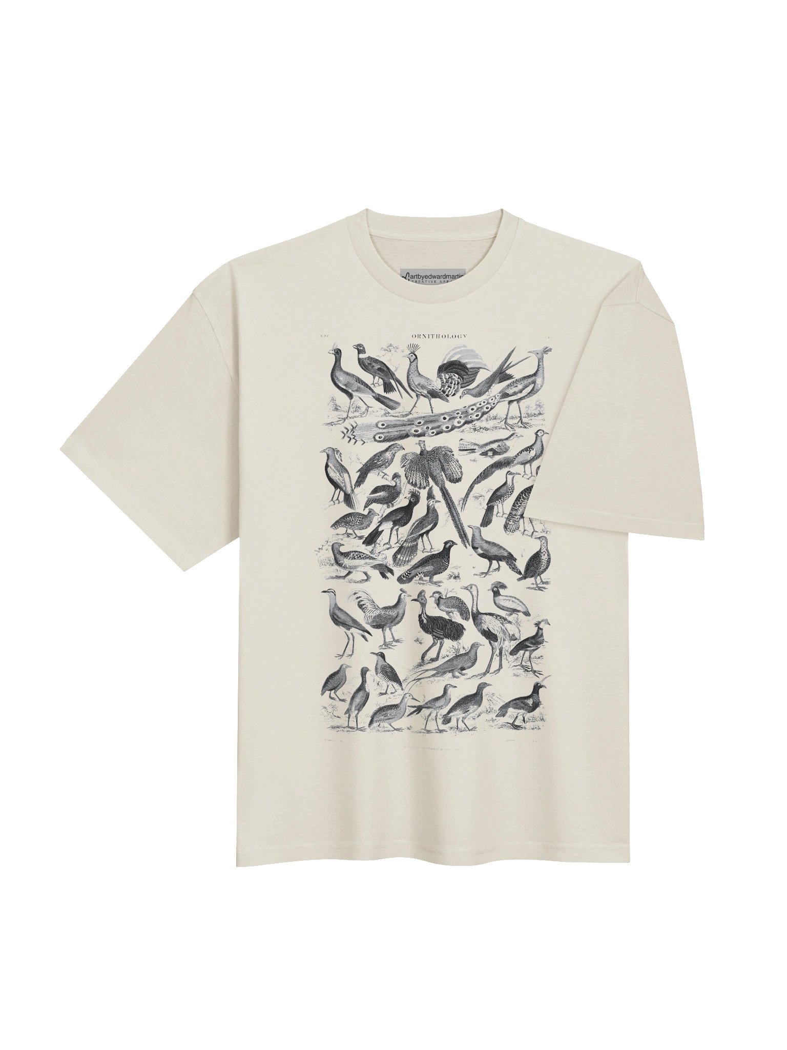 Ornithology Chart Oversized Tee product image (8)