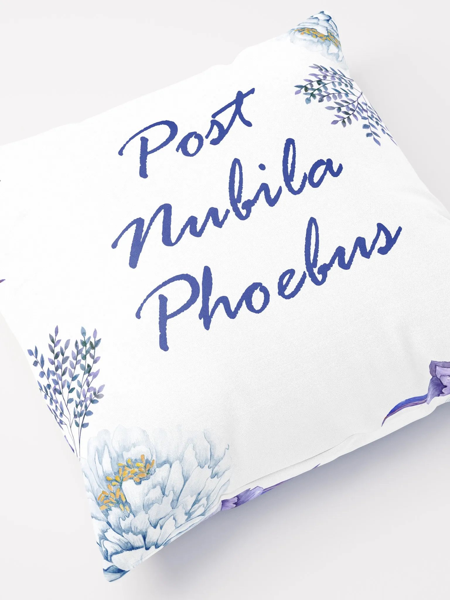 Post Nubila Phoebus Pillow product image (7)
