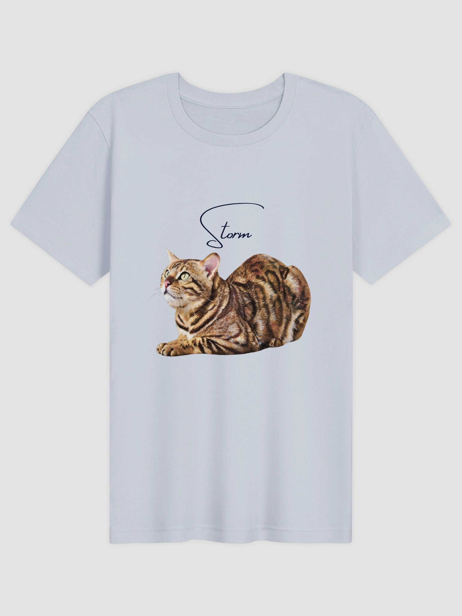 Custom Oil Painting Style Pet Portrait T-Shirt product image (18)