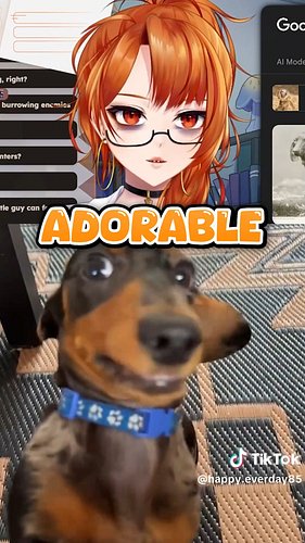 expanding my sausage dog knowledge

#vtuber #envtuber #envtuberclip #envtuberclips #envtubermeme #english #australia #austral...