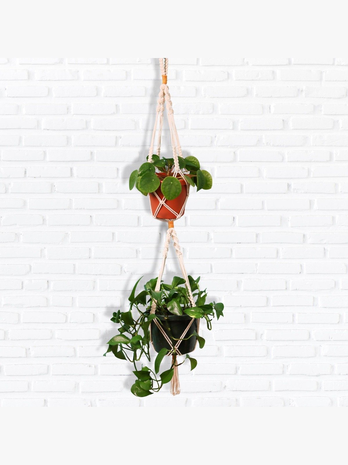 Double Macrame Plant Hanger (Digital PDF Pattern) product image (1)