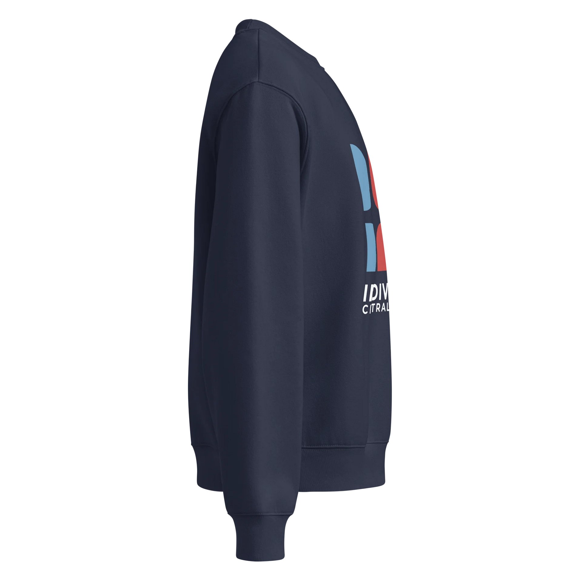 Indivisible CI Sweatshirt product image (4)