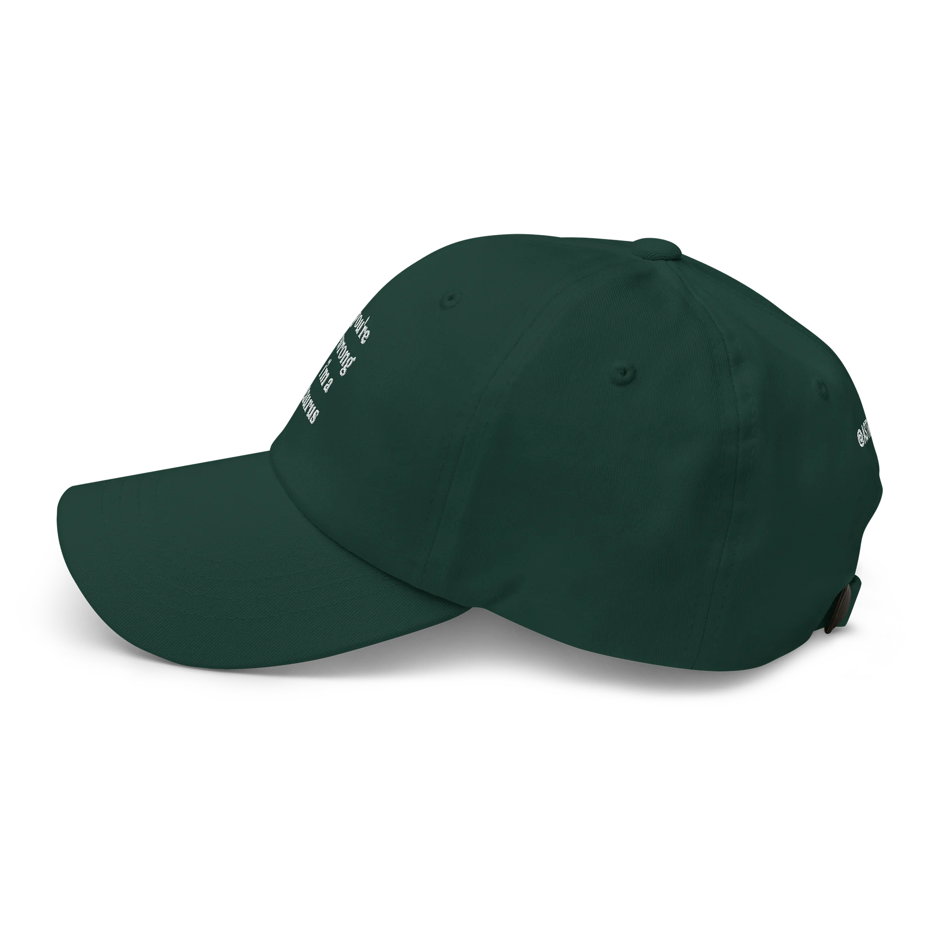 you're wrong taurus embroidered cap product image (4)