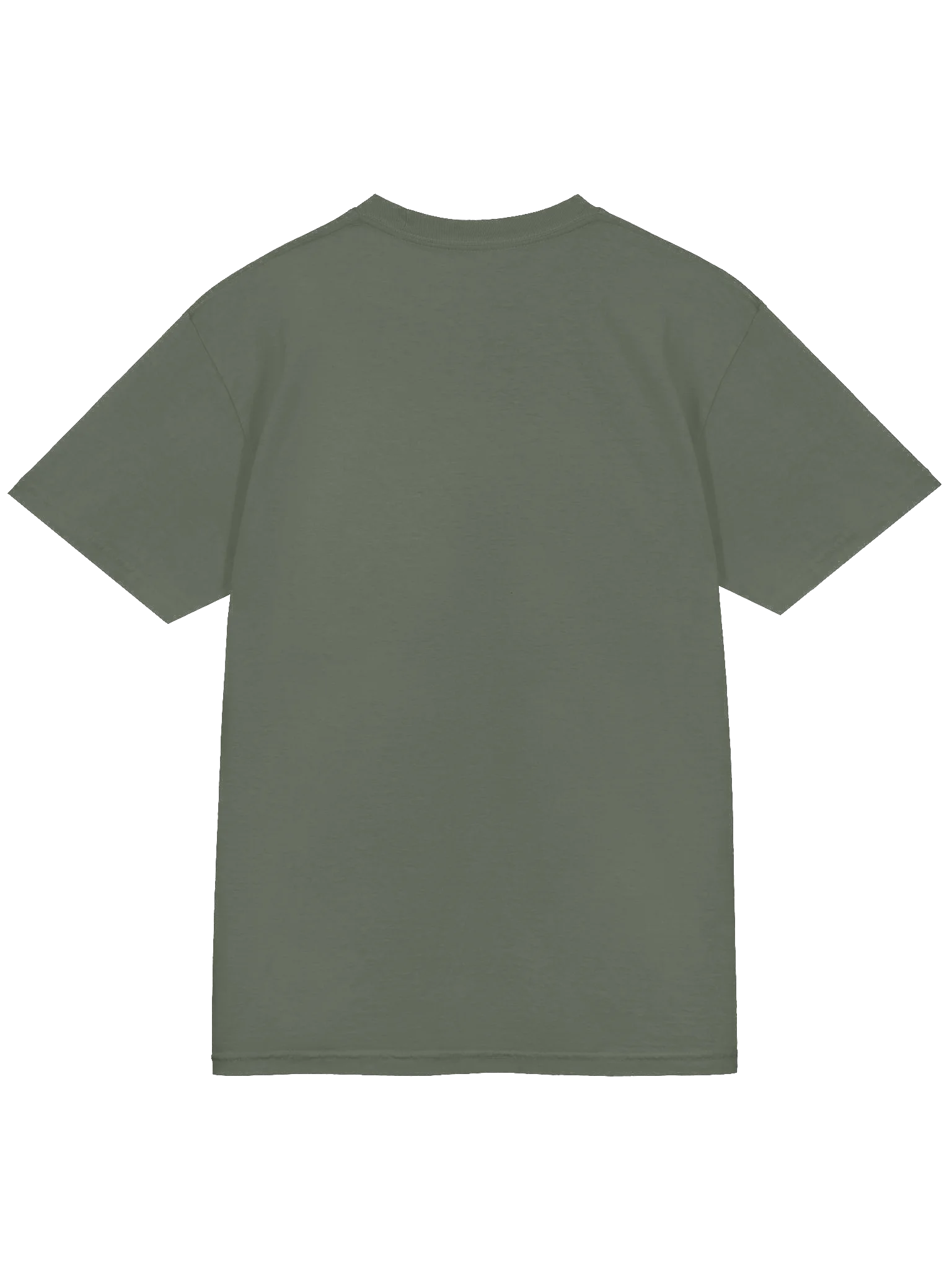 Bear Roar Tee product image (19)
