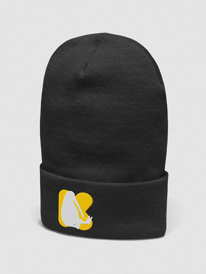 Kiwii logo Cuffed Beanie product image (13)