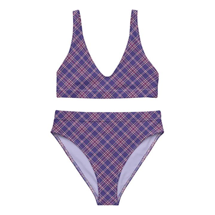 Purple Orchid and Violet Plaid Bikini product image (2)