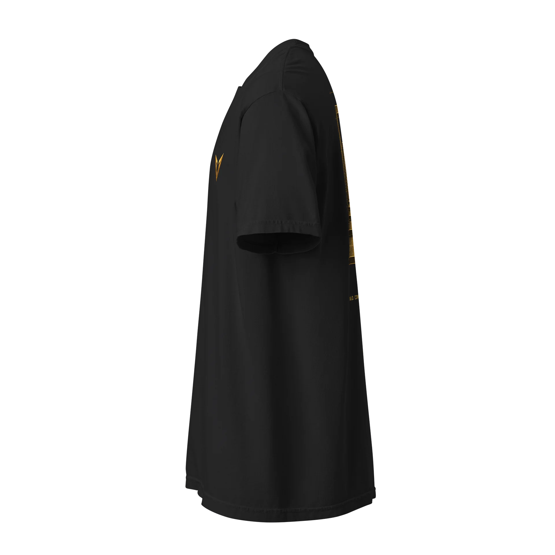 Ascent Monolith Heavyweight Tee product image (4)