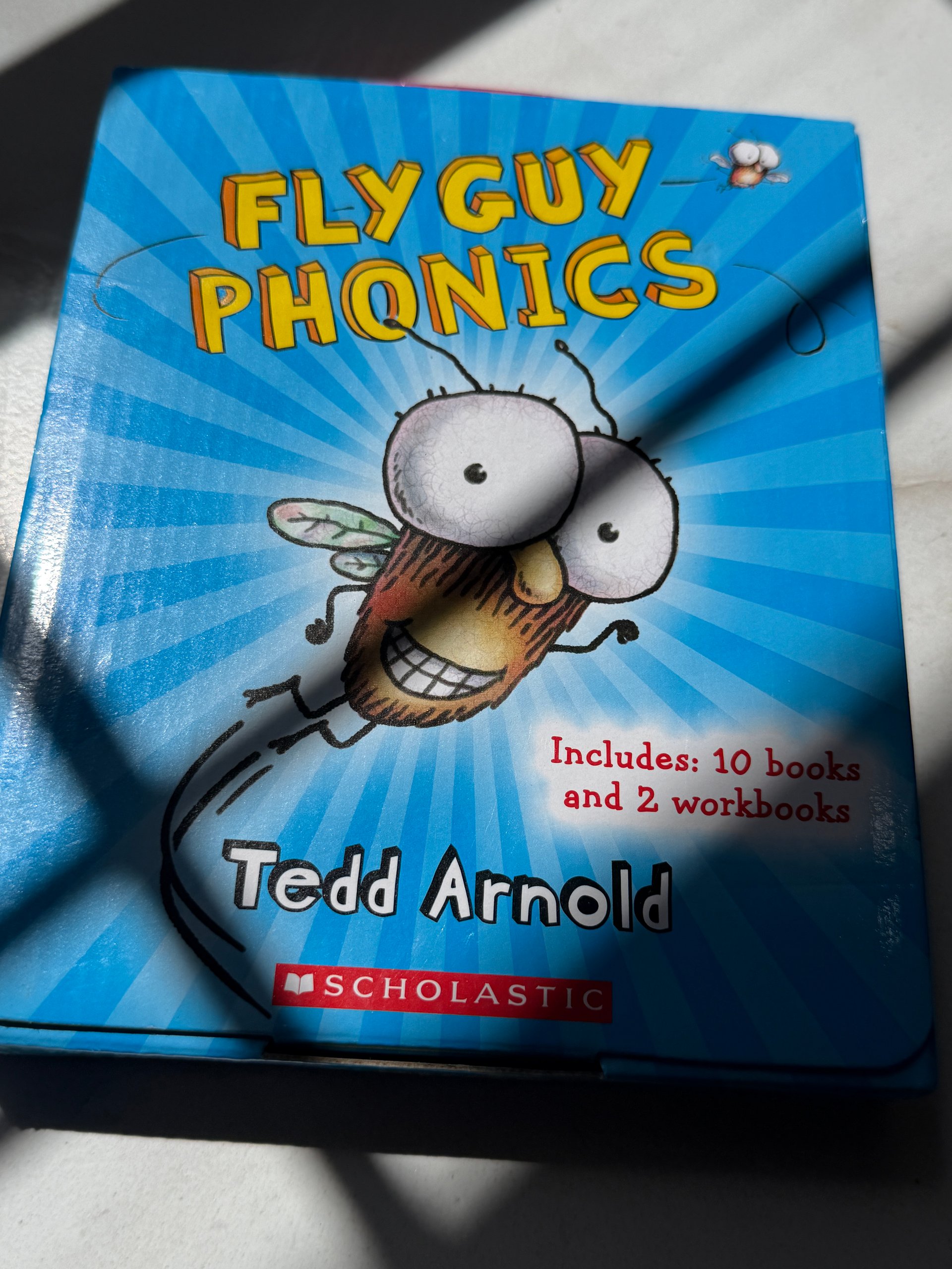 Fly Guy Phonics Boxed Set | Tedd Arnold | 10 Readers + 2 Unused Workbooks (K-2) product image (1)