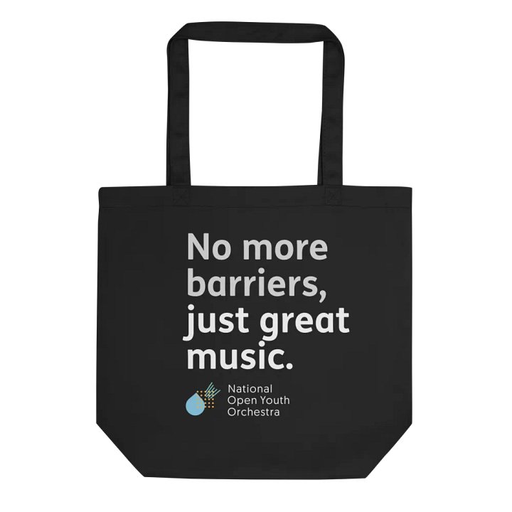 No More Barriers Bag product image (2)