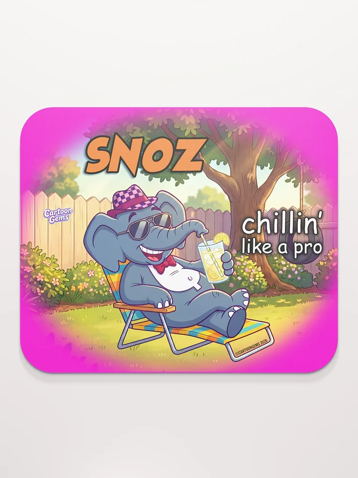 Chilin Like A Pro product image (2)