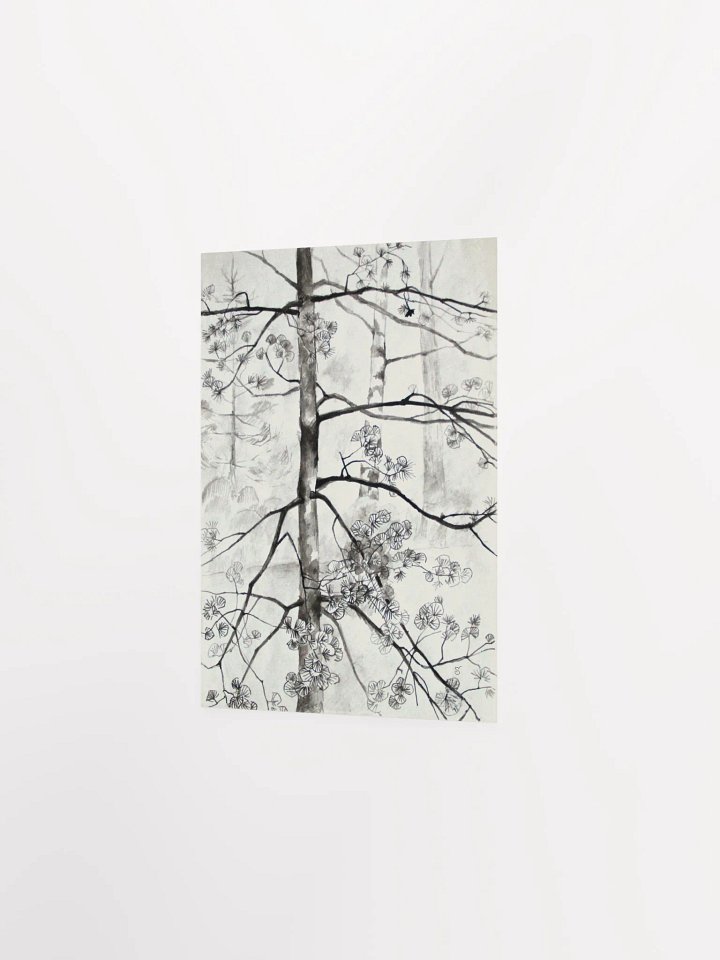 Young Pine Tree Sketch Poster - Young Pine Tree product image (2)