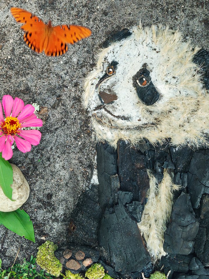 PANDAS & BUTTERFLIES | Fine Art Print product image (2)