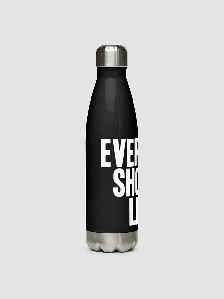 [everyone] stainless steel water bottle (Allcolor 1020) product image (2)
