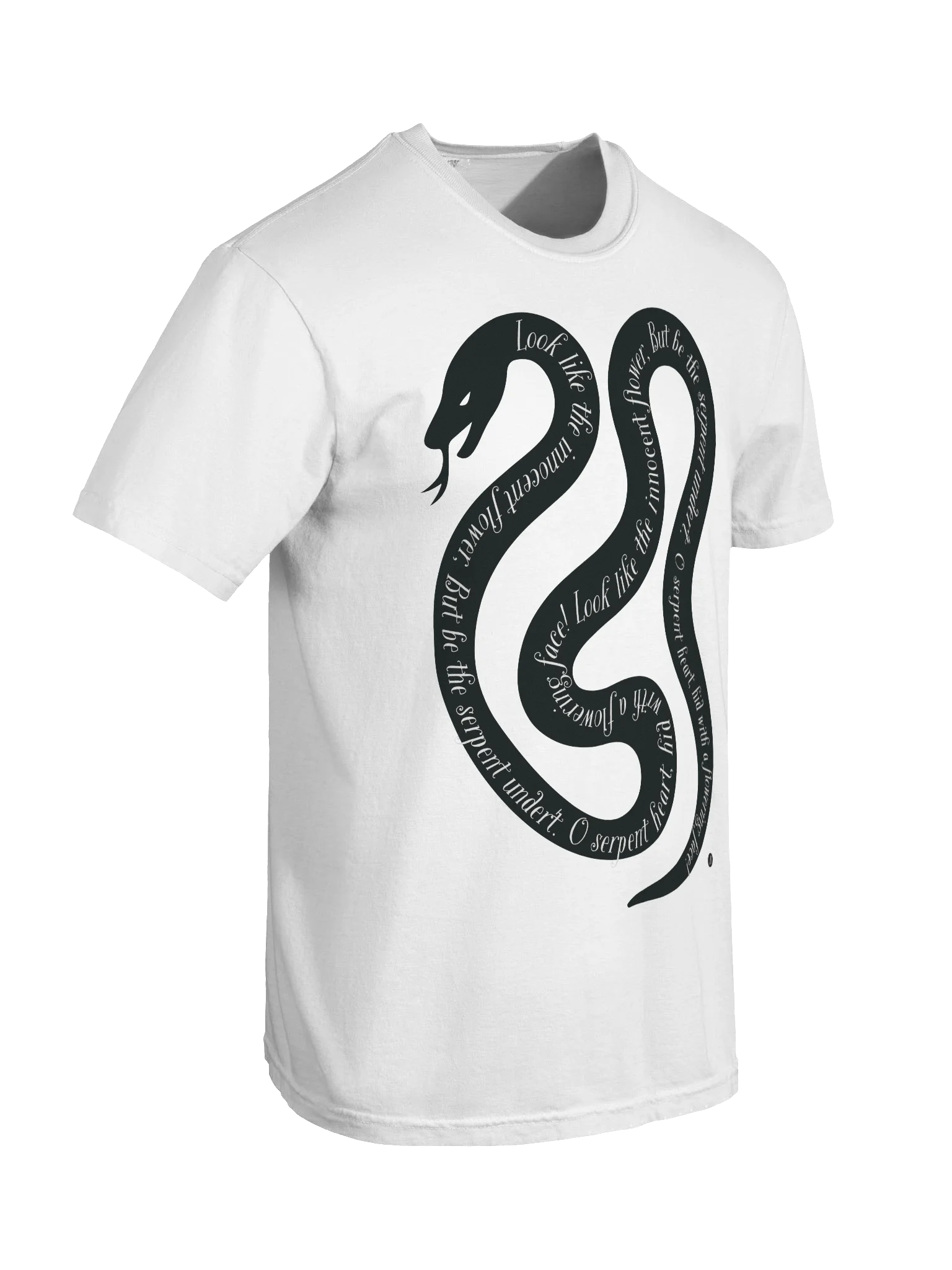 Serpent's Verse Heavyweight Tee product image (3)
