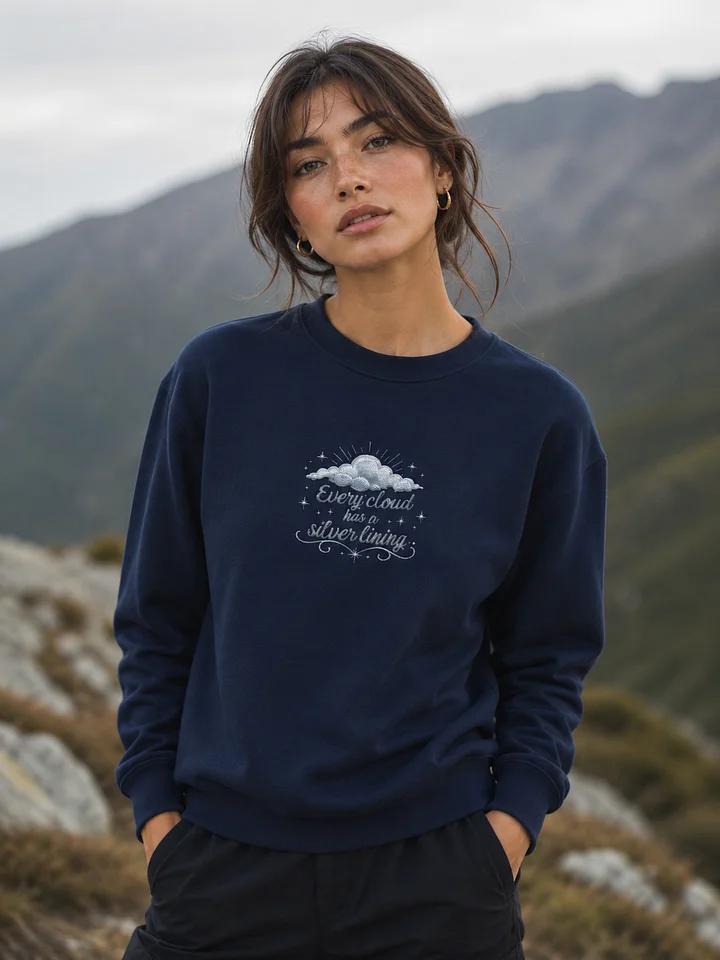 Silver Lining Embroidered Sweatshirt product image (1)