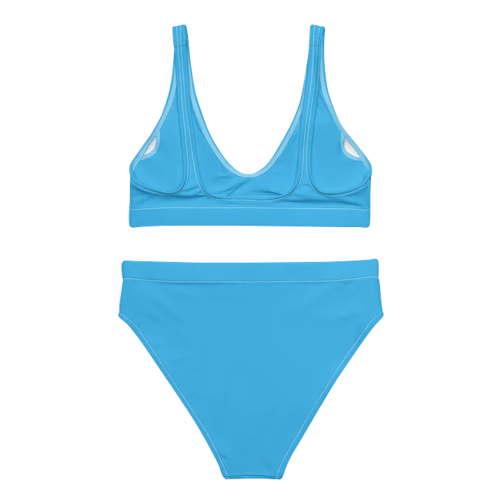 Bikini product image (2)