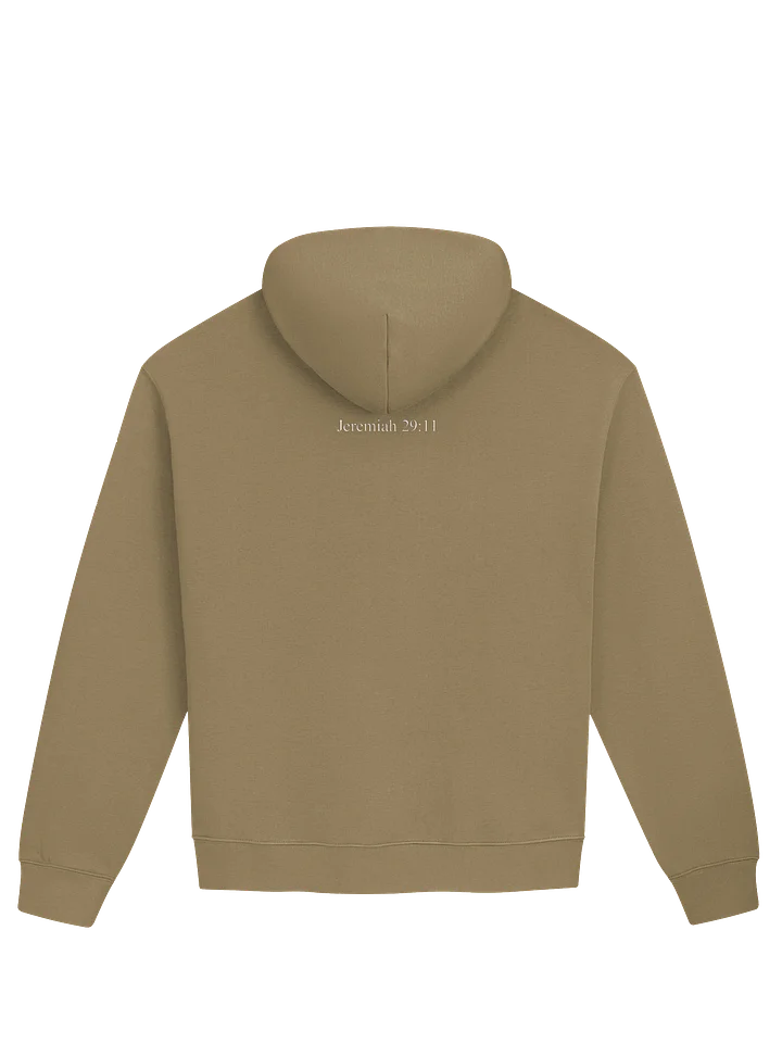 VIP Jeremiah 29:11 Premium Unisex Hoodie product image (2)