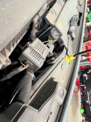 Sometimes the voices be winning as a mechanic and sometimes your helper isn’t a big help. At least it’s Friday yall let’s rise! #jeepthings #jeep #bluecollar #CityTasteTest #customerstates 
