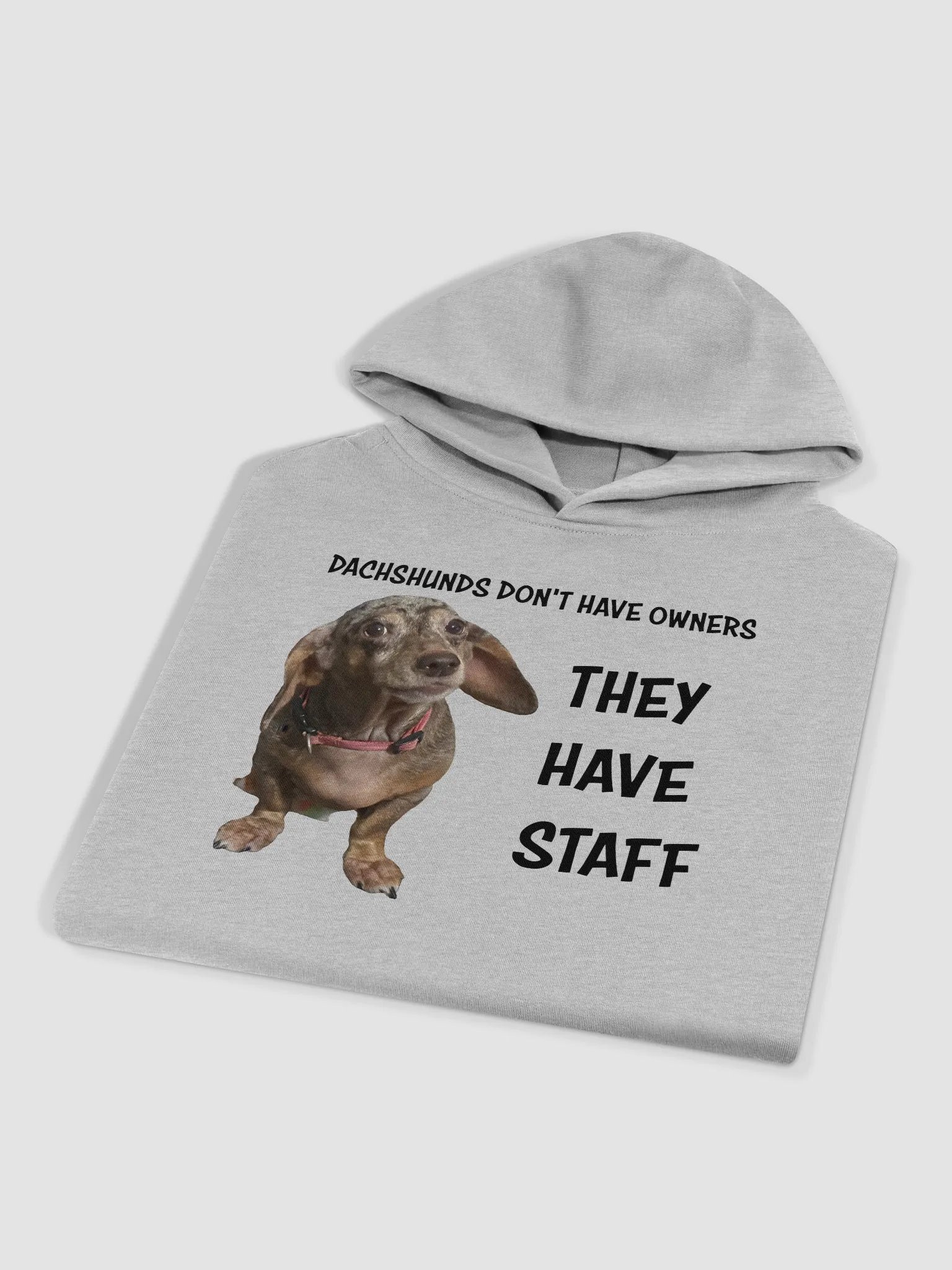 Dachshunds Have Staff Premium Oversized Hoodie product image (3)