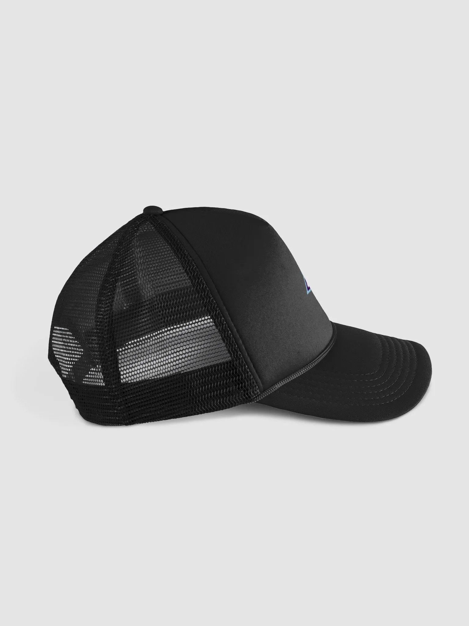 2024 Logo Hat product image (3)