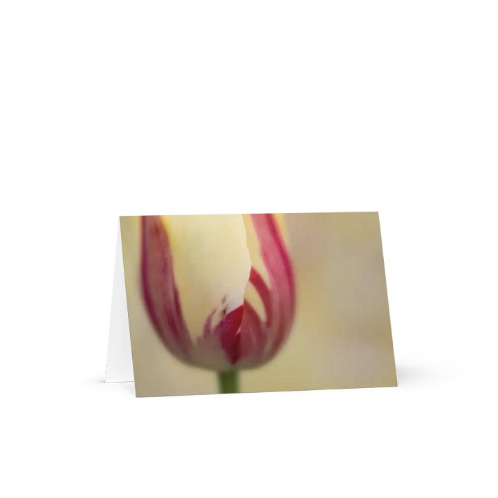 Dreamy Tulip Notecard product image (4)