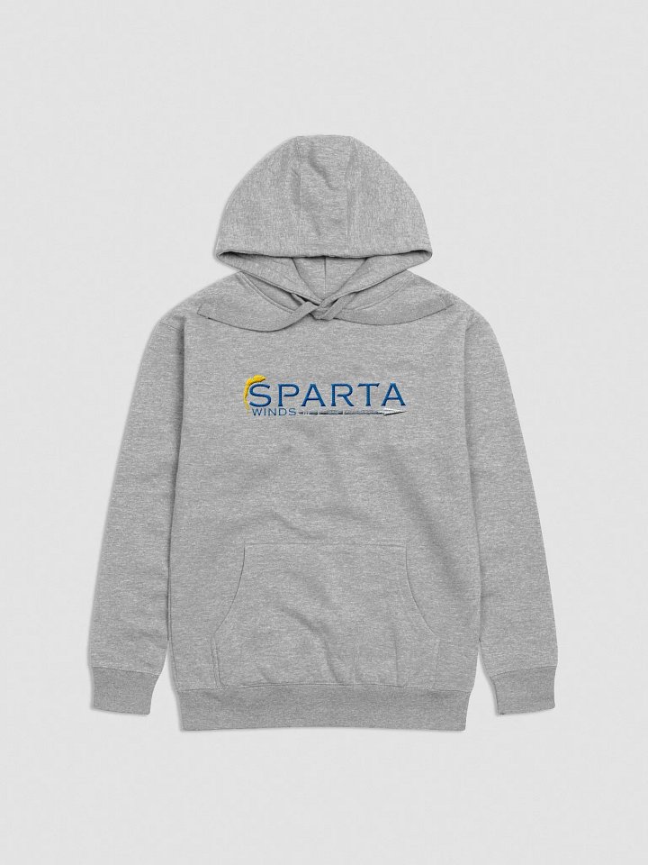 SW Embroidered Hoodie product image (2)