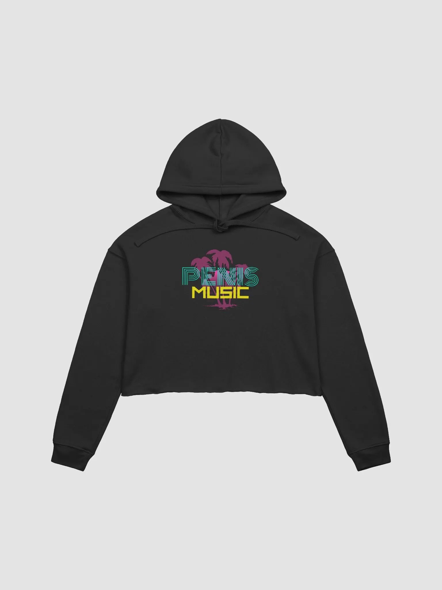 the music of the new generation fleece crop hoodie product image (2)