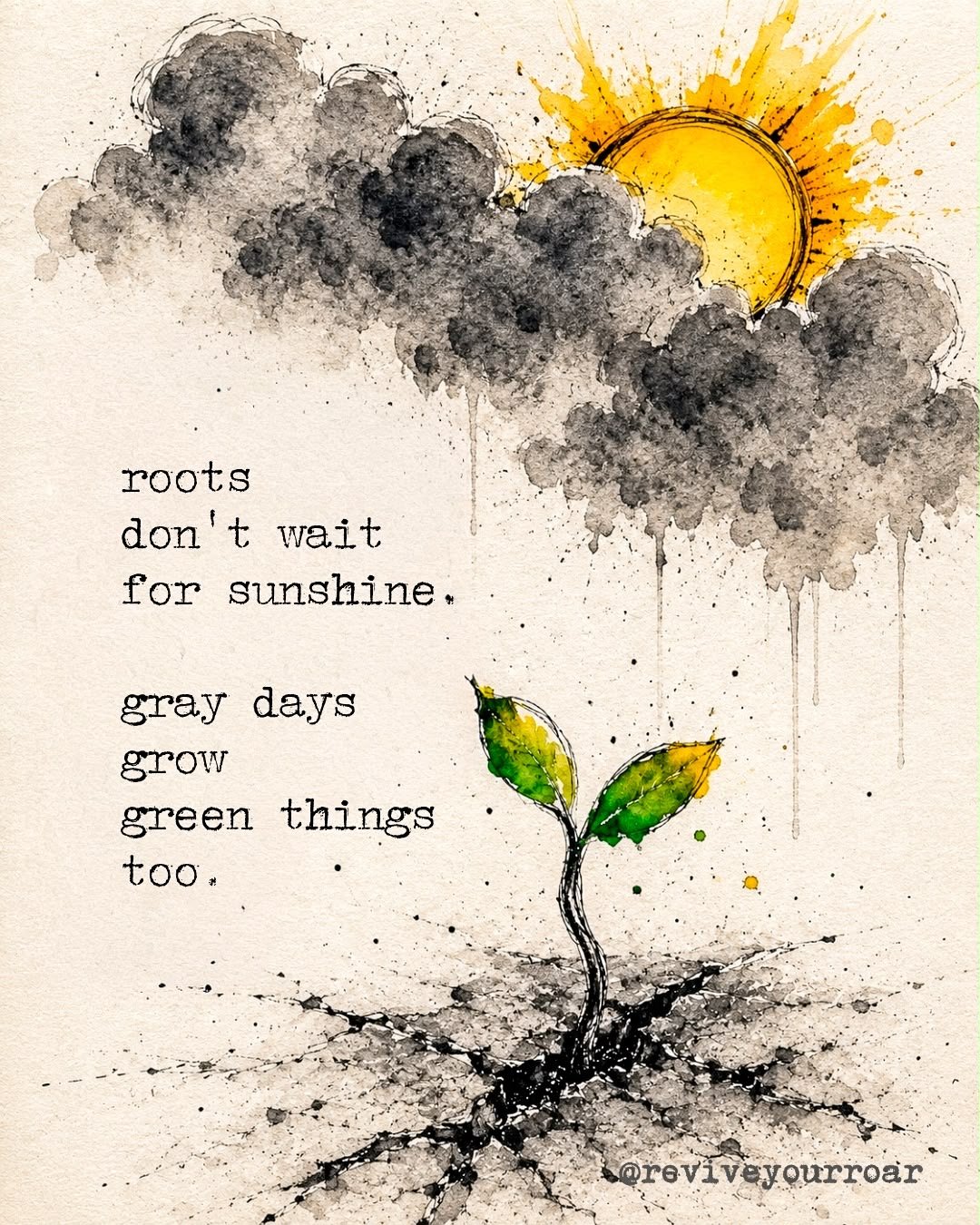 Roots don’t wait for sunshine product image (1)