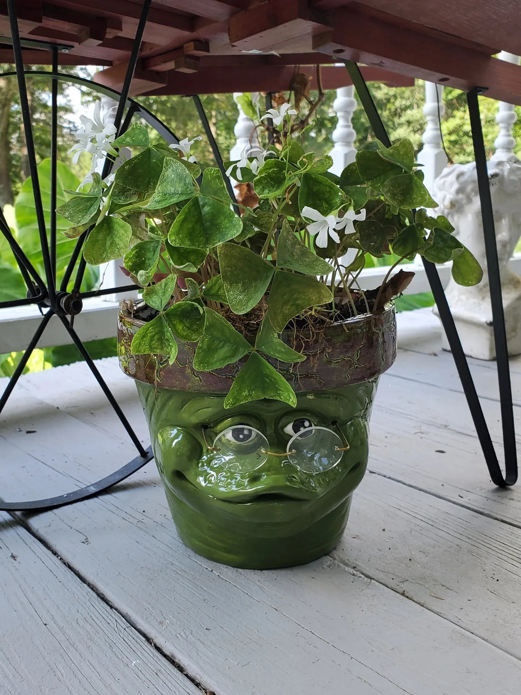 Wise frog planter, garden planter, flowerpot, ceramic product image (3)