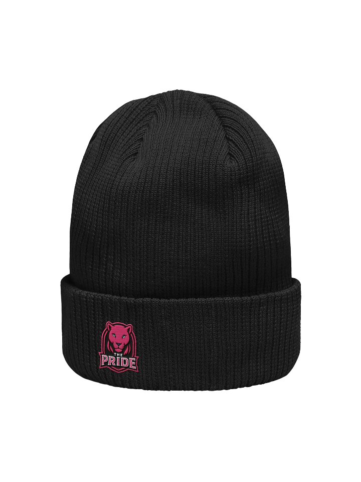 The Pride Beanie product image (56)