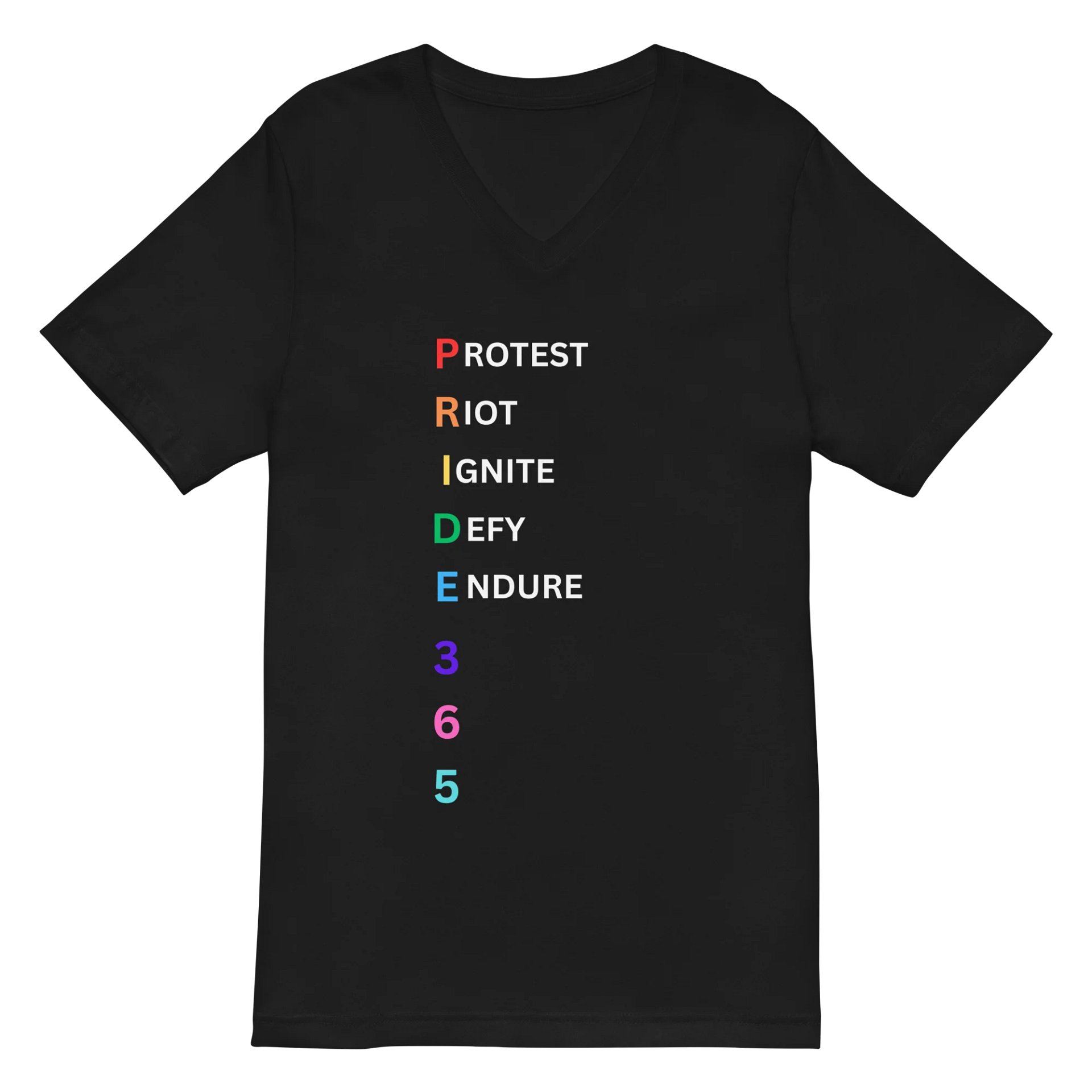Pride 365 (protest, riot, ignite, endure) V-Neck Tee product image (2)