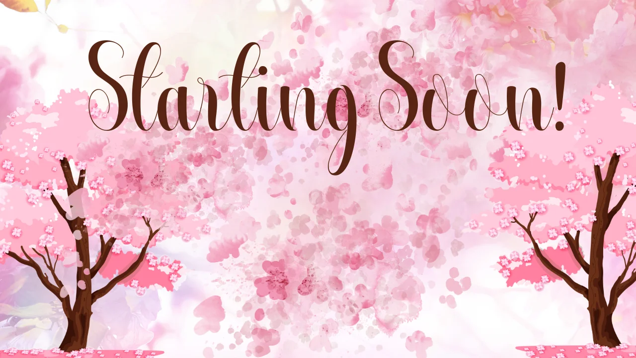 Sauka Overlay Bundle product image (6)