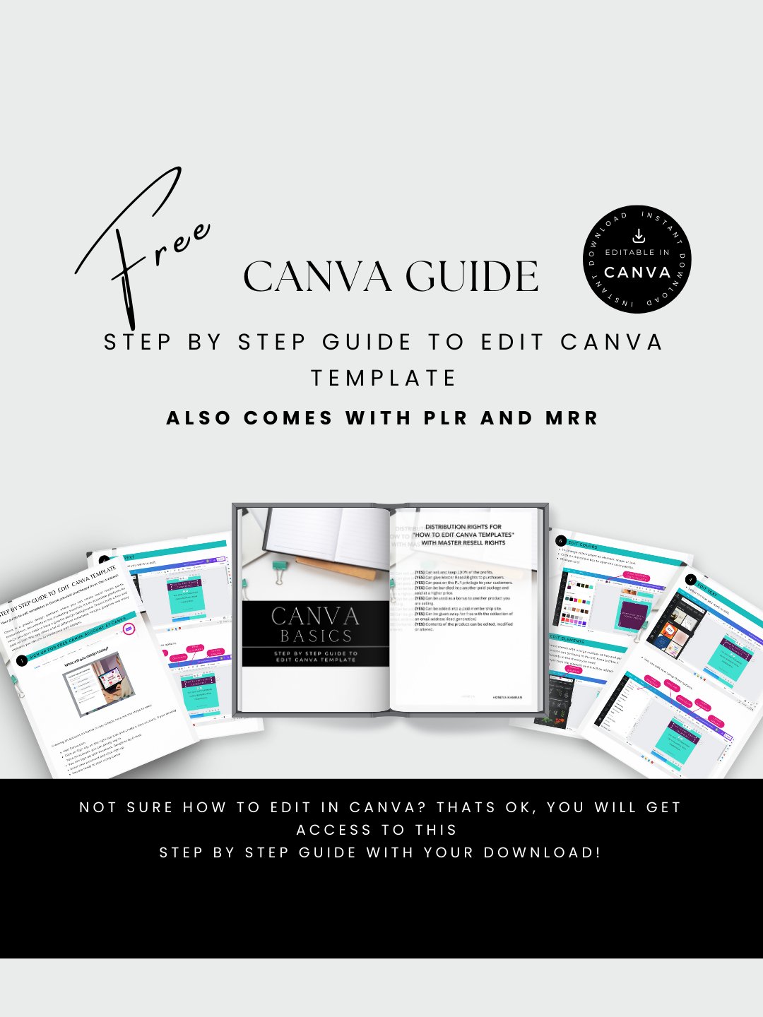 Creative Content Vault – 400+ PLR Content Ideas, Hooks, CTAs & Canva Planner Templates for Product-Based Businesses product image (5)