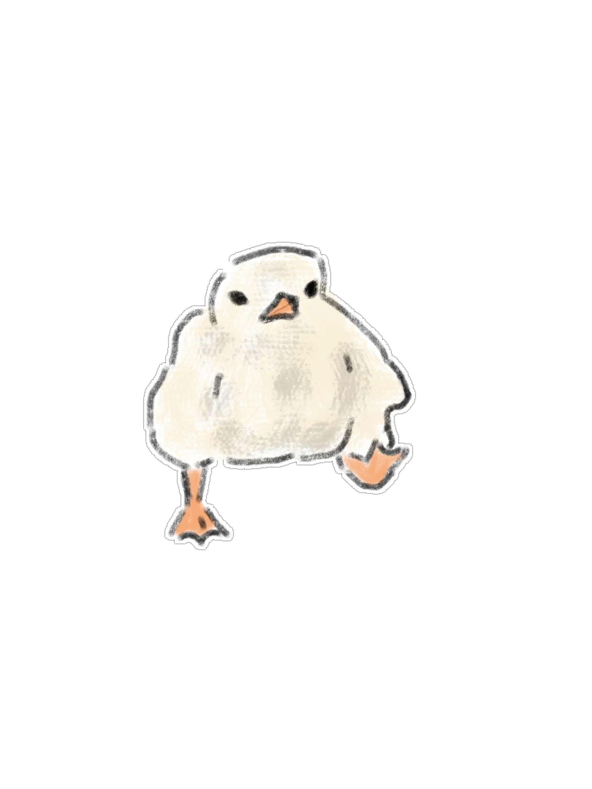17 Hand-Drawn Penguin and Bird PNG Clipart Bundle product image (5)