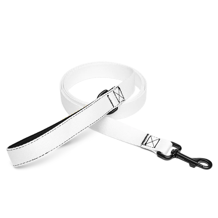 intuitive Pet Leash product image (1)