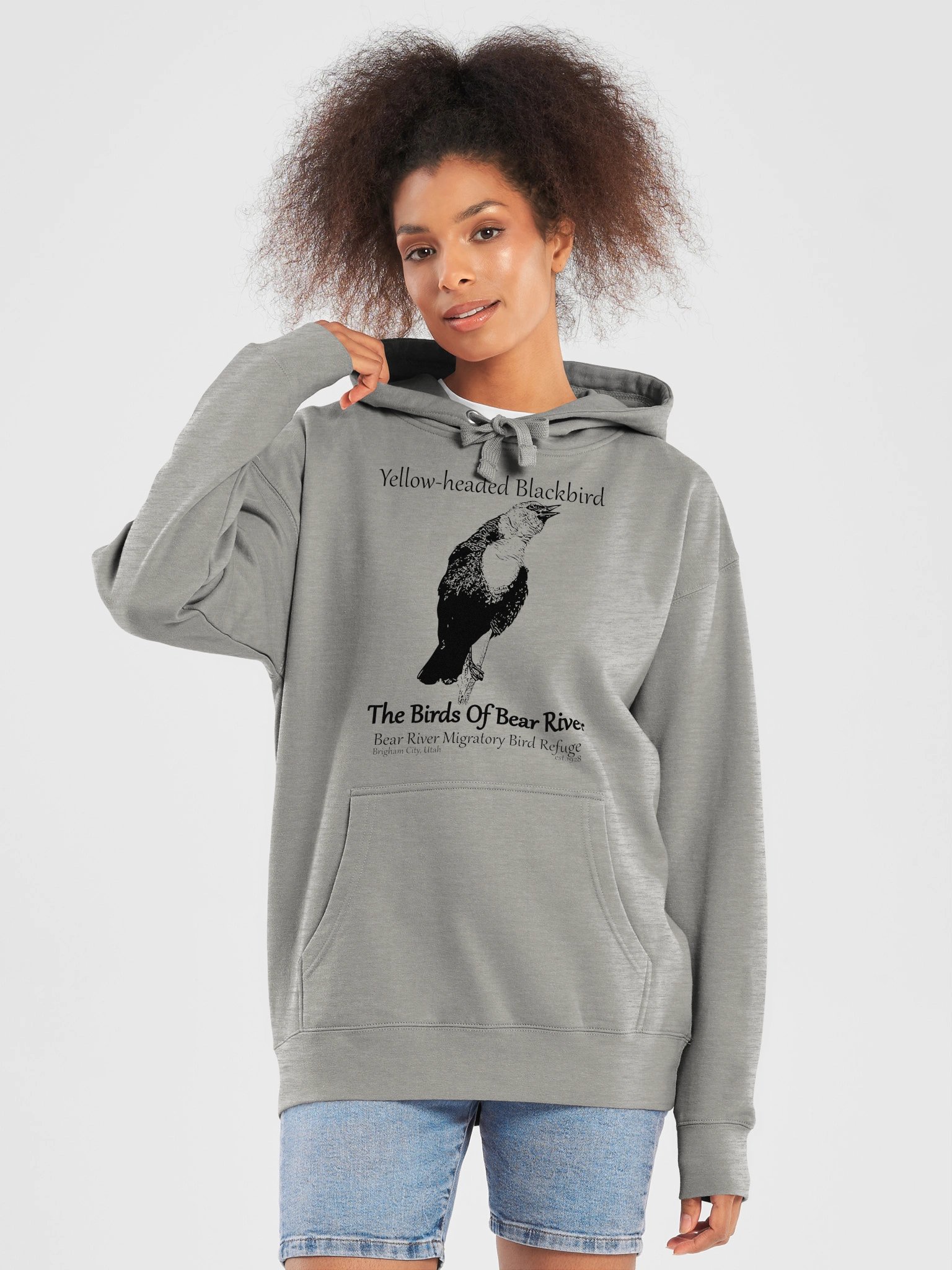 Birds of Bear River Yellow-headed Blackbird Premium Hoodie product image (29)
